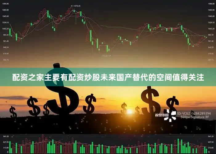 配资之家主要有配资炒股未来国产替代的空间值得关注