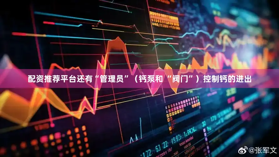 配资推荐平台还有“管理员”（钙泵和 “阀门”）控制钙的进出