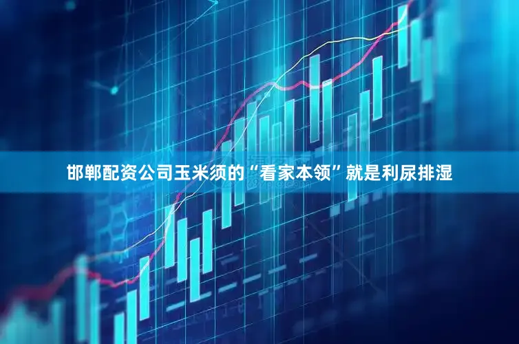 邯郸配资公司玉米须的“看家本领”就是利尿排湿