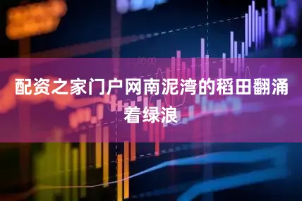 配资之家门户网南泥湾的稻田翻涌着绿浪