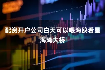 配资开户公司白天可以喂海鸥看星海湾大桥