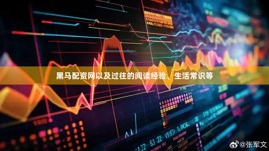 黑马配资网以及过往的阅读经验、生活常识等