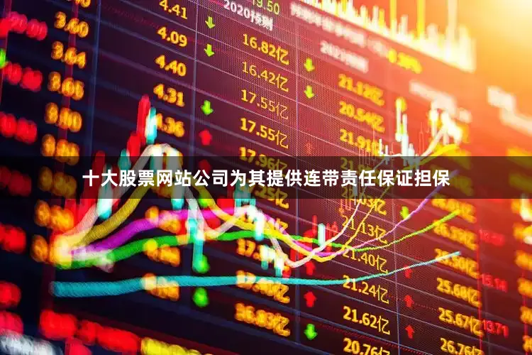 十大股票网站公司为其提供连带责任保证担保